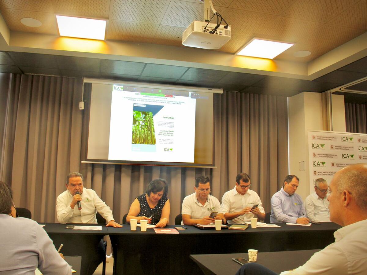Realizan en Santa Marta un PMU con actores del Gobierno para contener el Fusarium