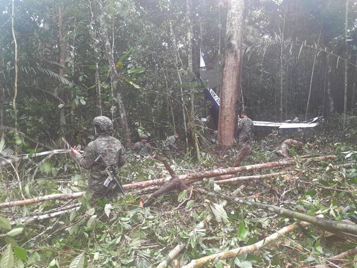 Nuevos detalles del accidente aéreo de los niños que fueron rescatados en selva del Guaviare