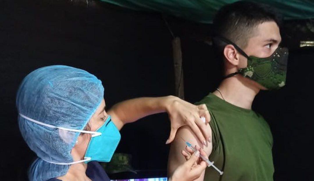 Imagen de referencia.