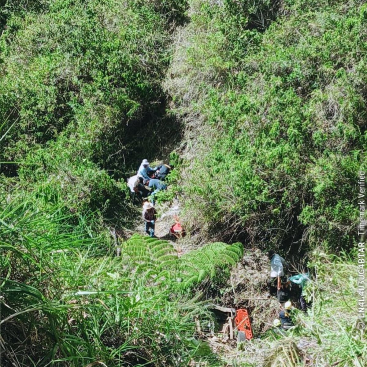 Tragedia en Dagua: tres muertos tras la caída de un carro a un abismo