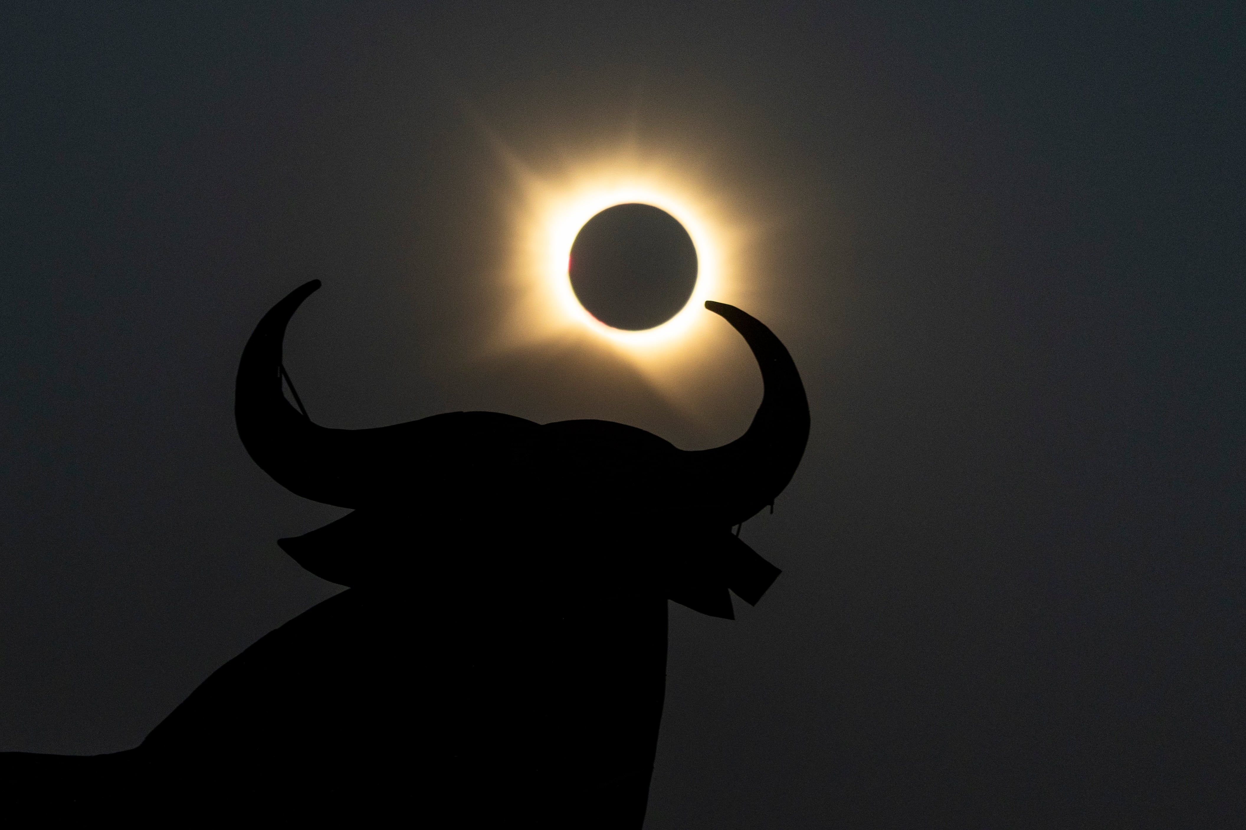 Vista detrás del Toro de Osborne en Guadalajara, España, durante el eclipse solar total. (Photo by Pablo Blazquez Dominguez/Getty Images)