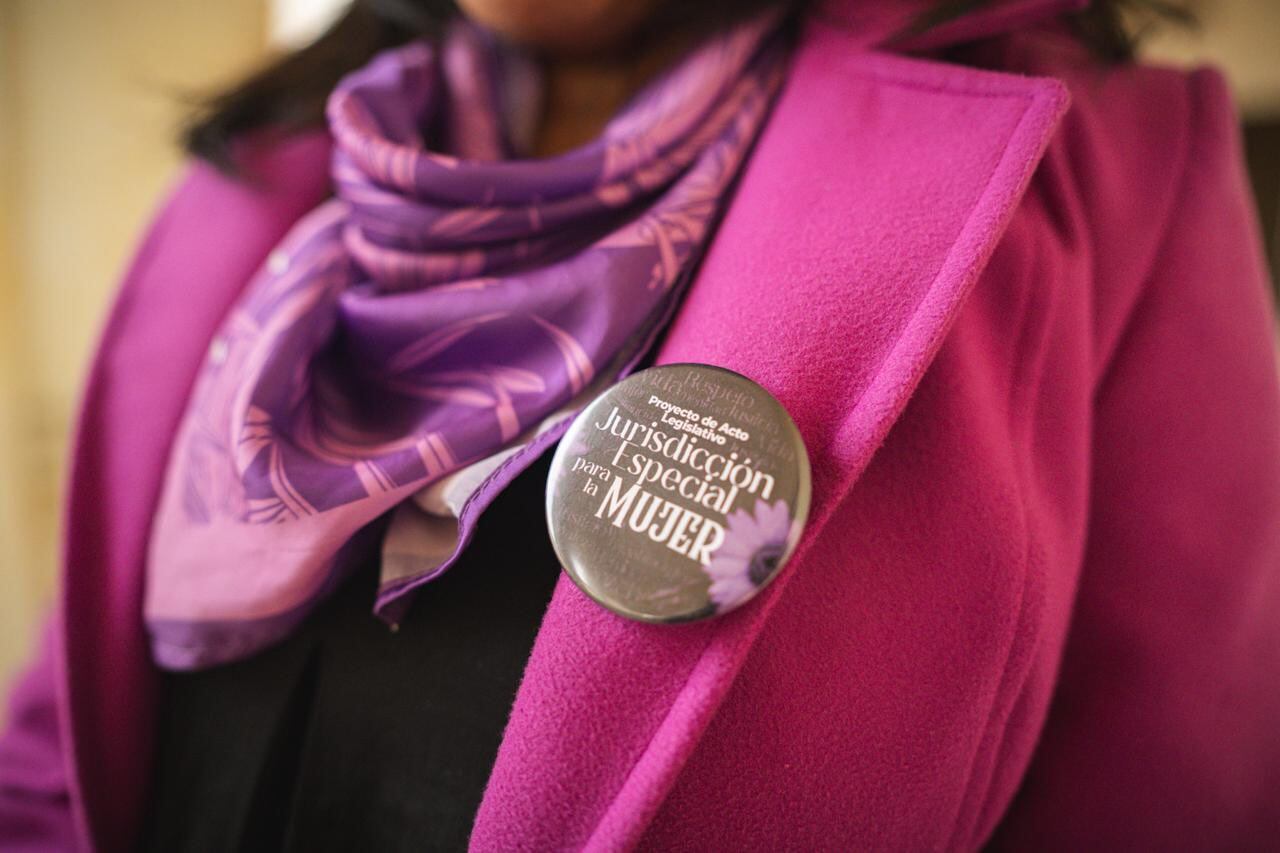 Proyecto de Acto Legislativo: Jurisdicción Especial para la Mujer. Vía: @alexandravasoch