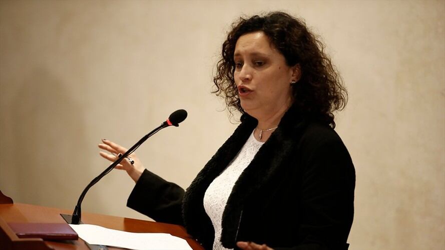 La representante Angélica Lozano indicó que al Gobierno Nacional "nunca le gustó este proyecto". Foto: Colprensa - Juan Páez