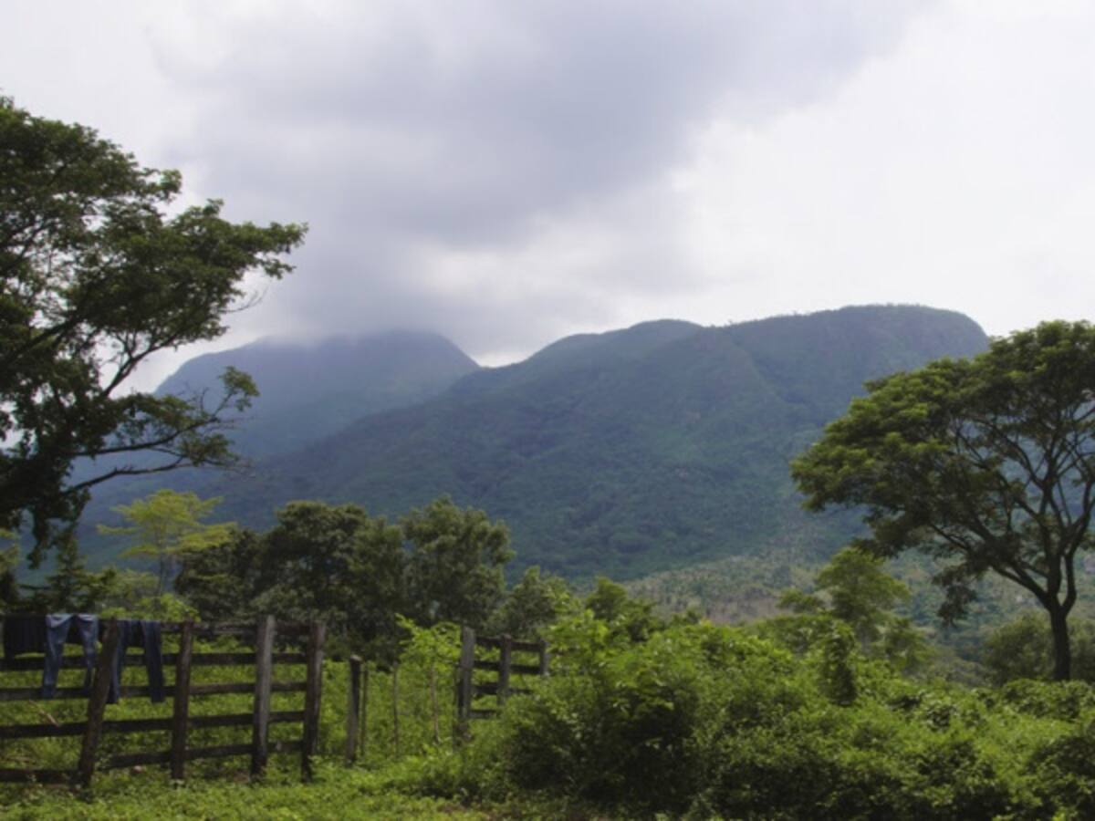 Corte protege a familias que reclaman baldíos en la hacienda Bellacruz
