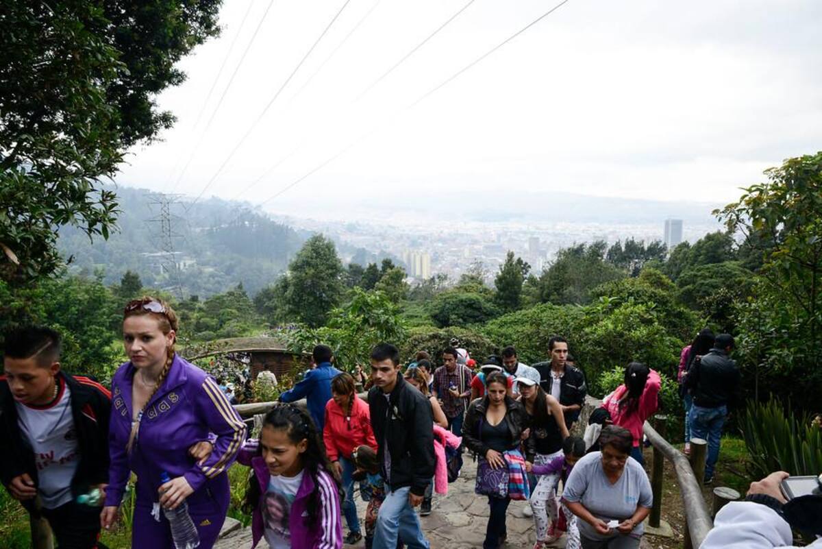 Se han registrado miles de visitantes, un promedio de 3.000 personas por hora, es decir unos 50 personas por minuto. Se espera que el total de las visitas sea alrededor de 65.000.
