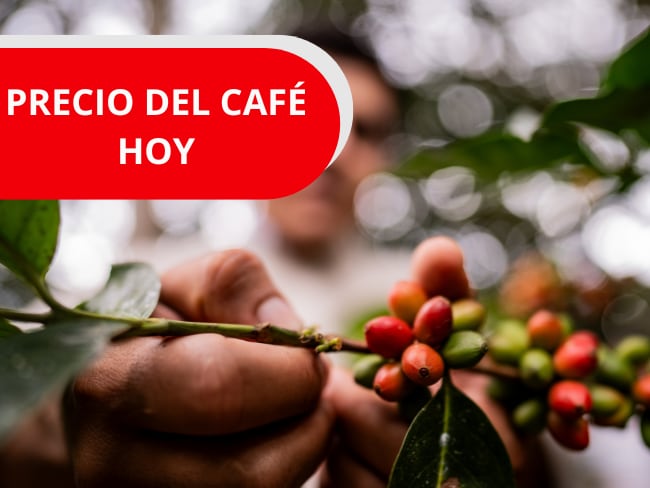 Imagen de referencia, Foto Getty Images 