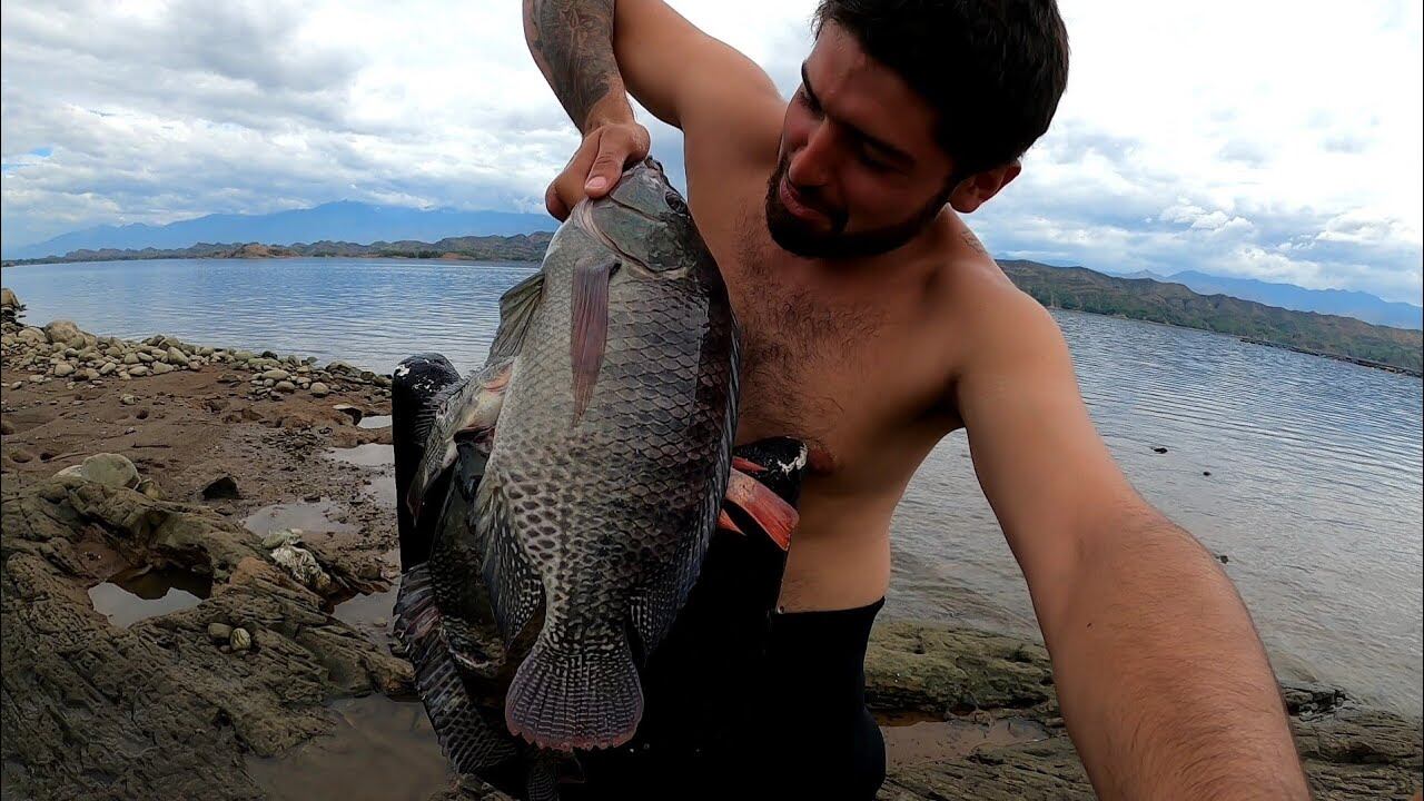 Frente al panorama del 2026, aseguran que no les queda otra opción que migrar. Foto Relacionada.