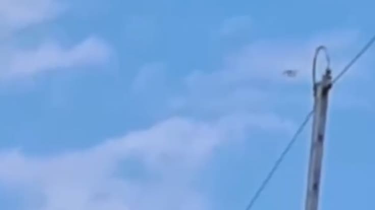 Coronel sobre incautación de dron