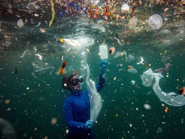 Limpieza de plásticos en el mar.               Foto: Getty 