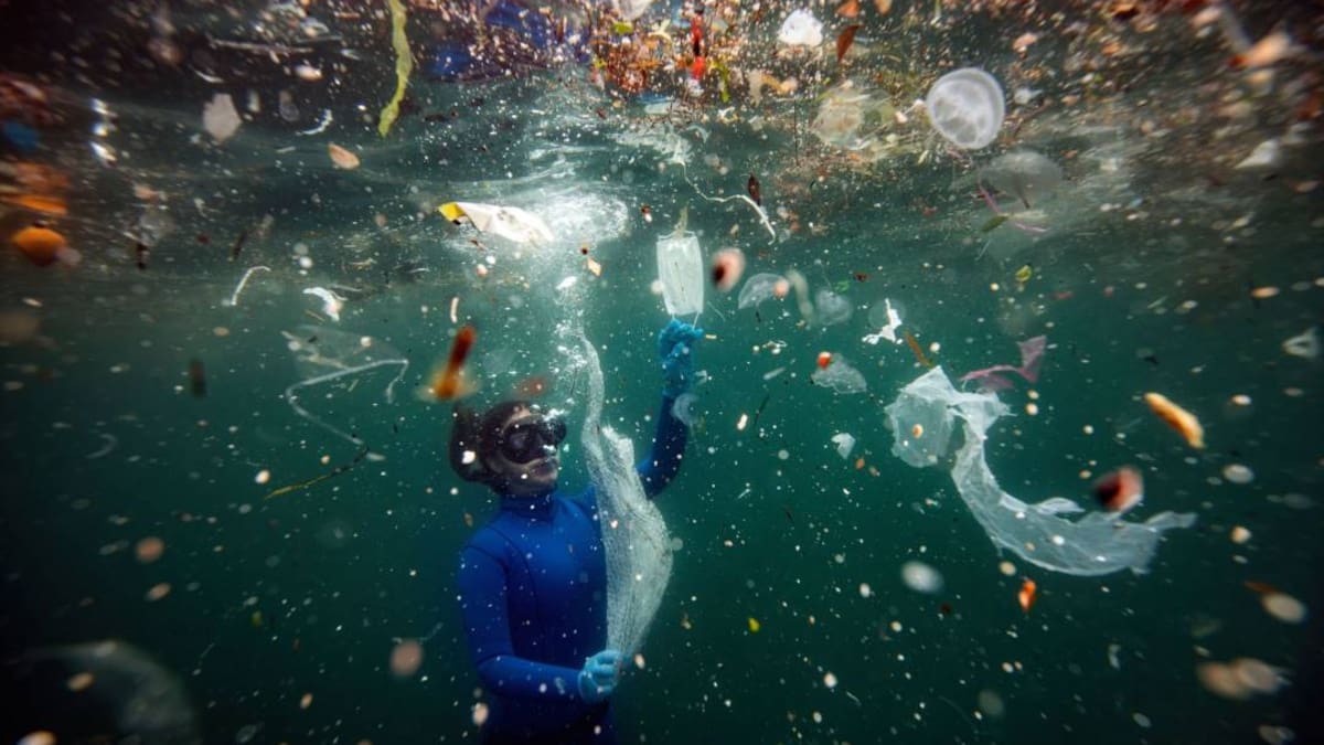 Japón crea un plástico resistente que es capaz de biodegradarse en una semana