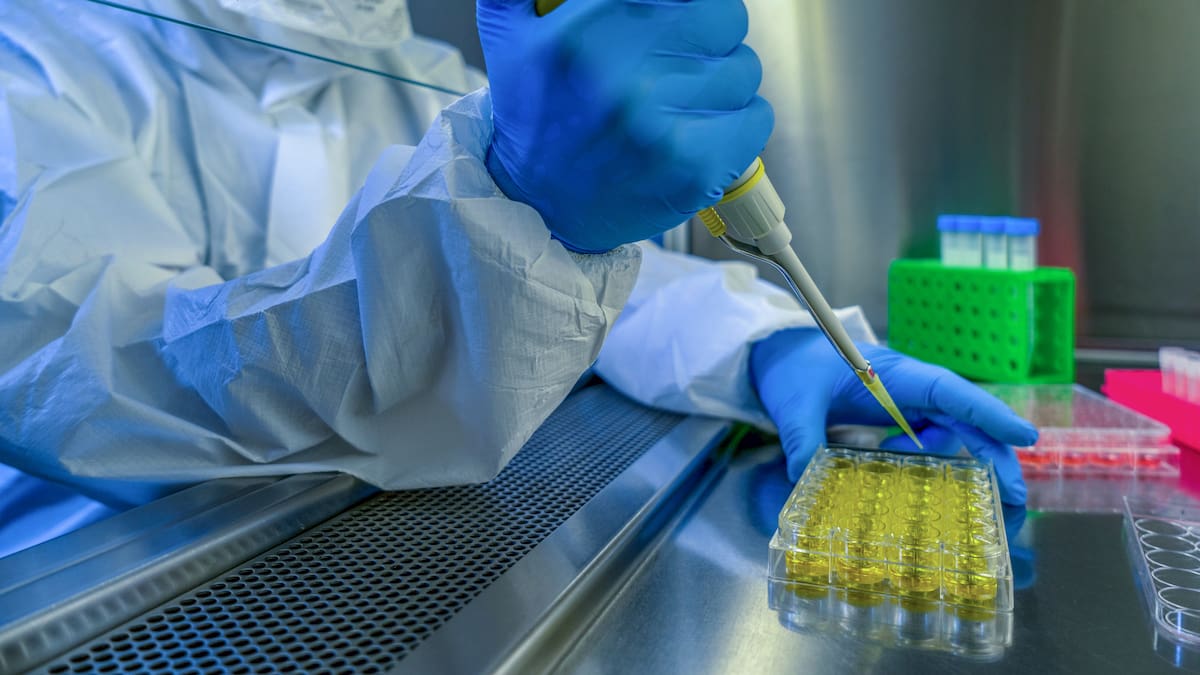 ¿Sabía sobre la ‘enfermedad X’? Le contamos lo que debe saber y cuántos casos hay