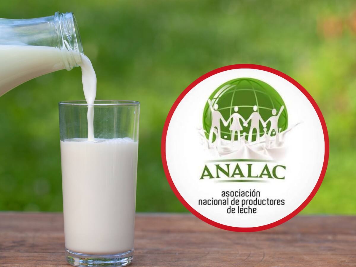“Es un incremento marginal”: productores cuestionan alza de 1,3% en precio de la leche