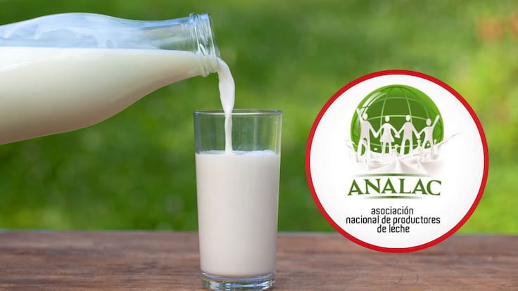 “Es un incremento marginal”: productores cuestionan alza de 1,3% en precio de la leche