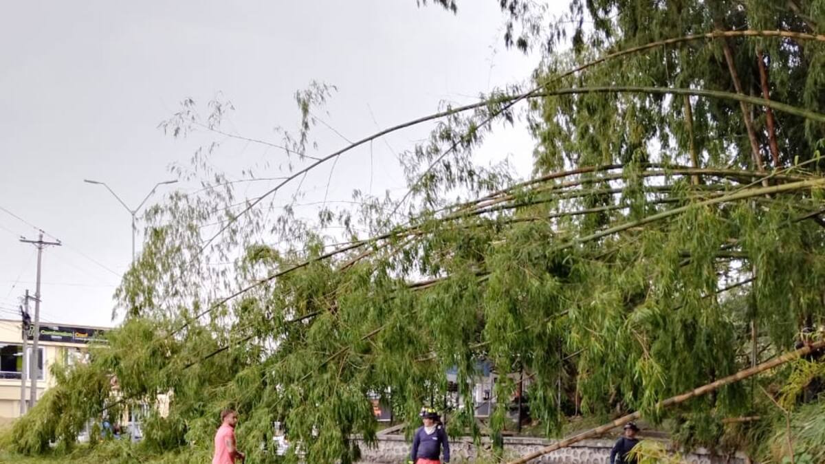 Viernes 19 de abril las noticias más importantes de Armenia y Quindío