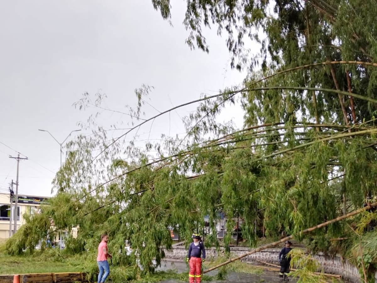 Viernes 19 de abril las noticias más importantes de Armenia y Quindío