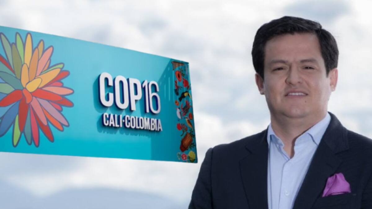 Comisión extraordinaria de procuraduría ya está en Cali para vigilar seguridad de la COP16