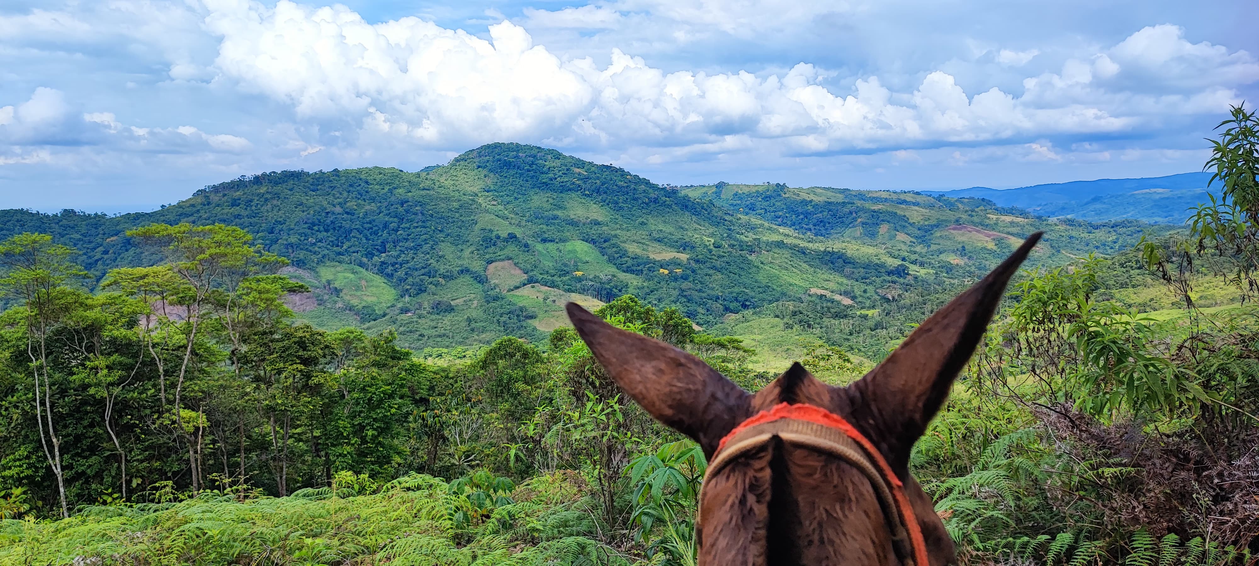 Restitución de tierras. / Foto: URT.