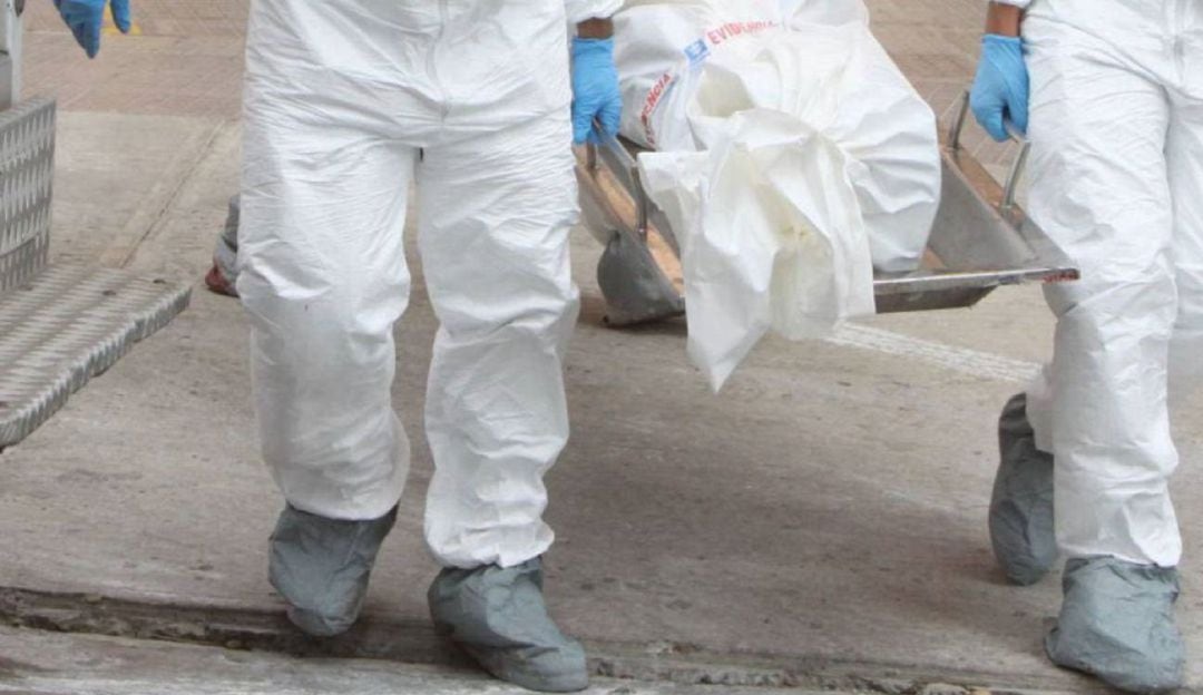 Imagen de referencia