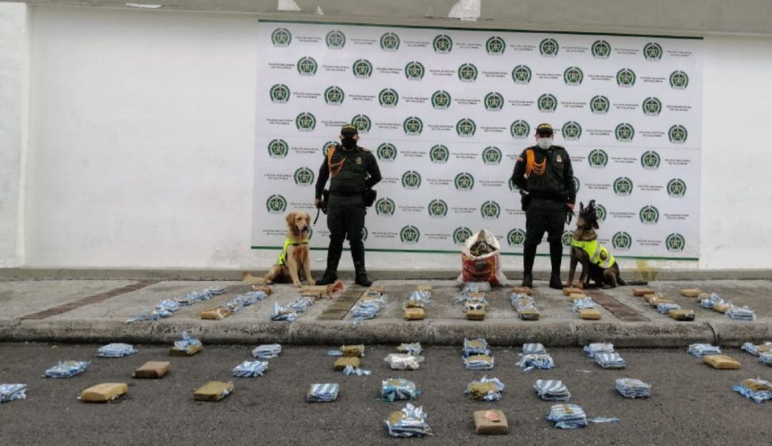 Suministrada Alcaldía de Ibagué 