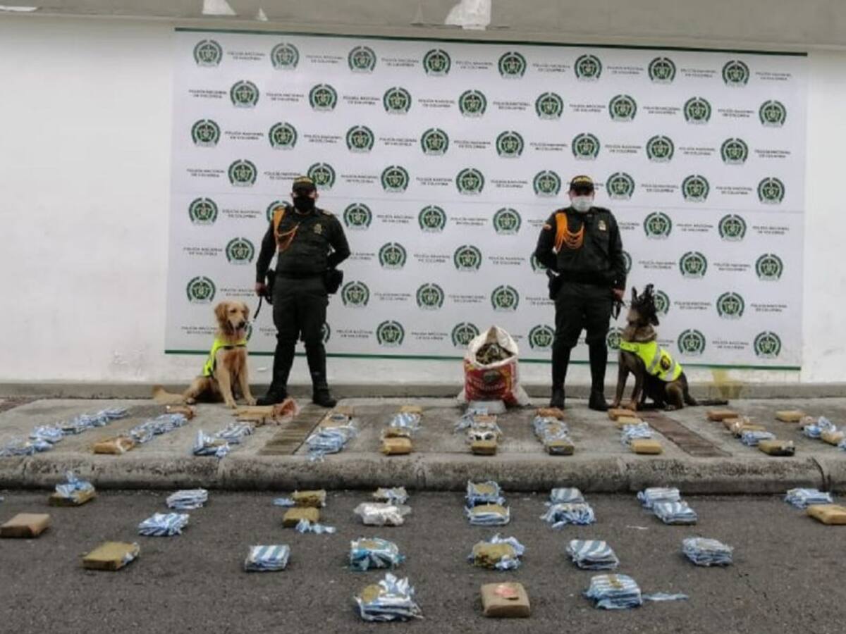 Cargamento de droga fue incautado por las autoridades en Ibagué