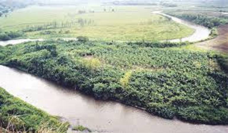 Las dificultades se presentan en la parte alta de la estrella pues el 75% de los humedales están drenados.