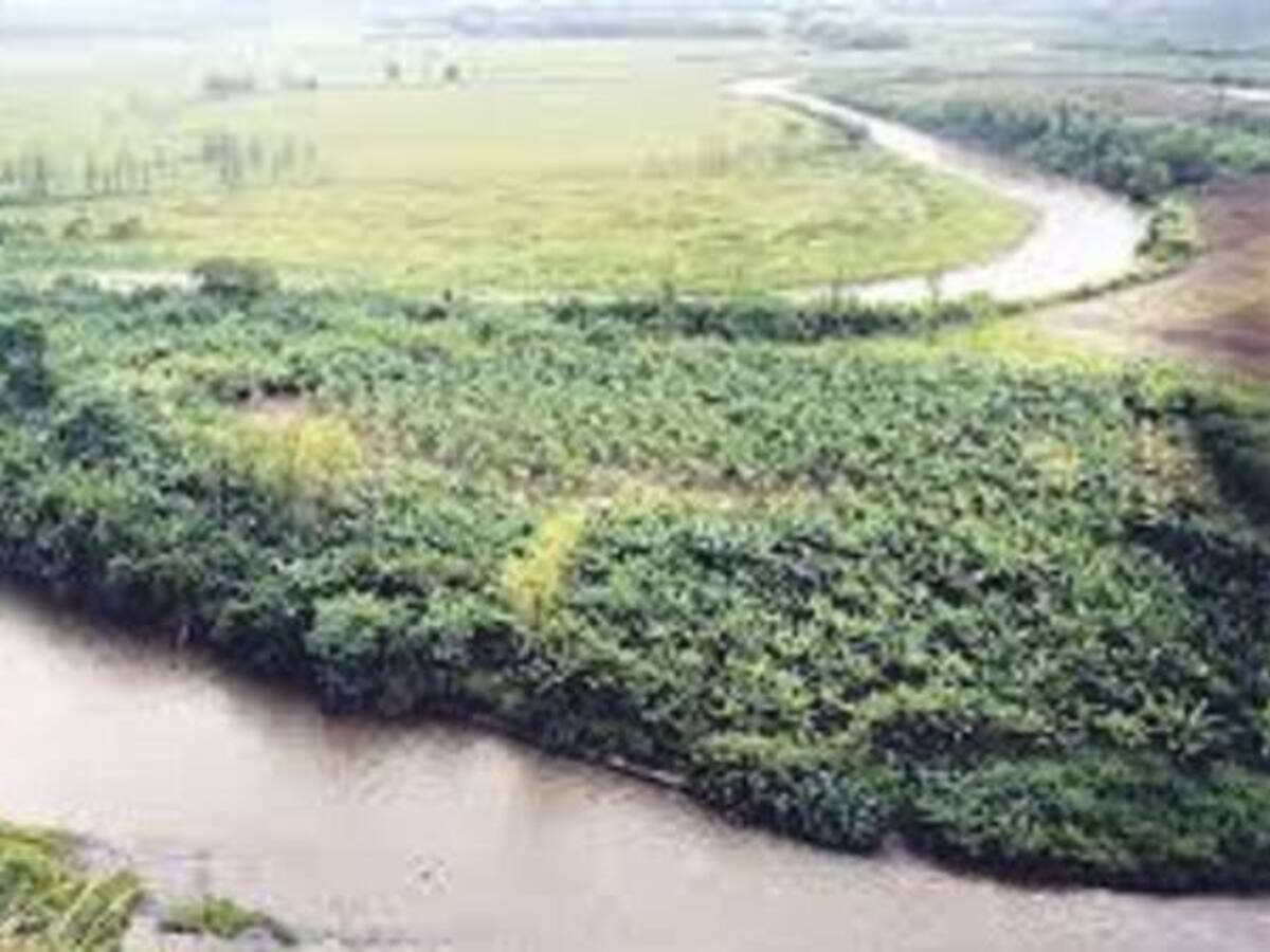 El 75% de los humedales se encuentran drenados en la Estrella Hídrica de Filandia