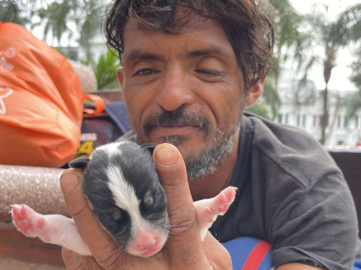 Caminante, su mascota y 11 cachorros, piden ayuda en el centro de Cali