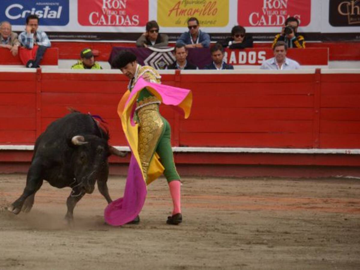 Concejo aprueba la realización de la "Consulta Popular Taurina"