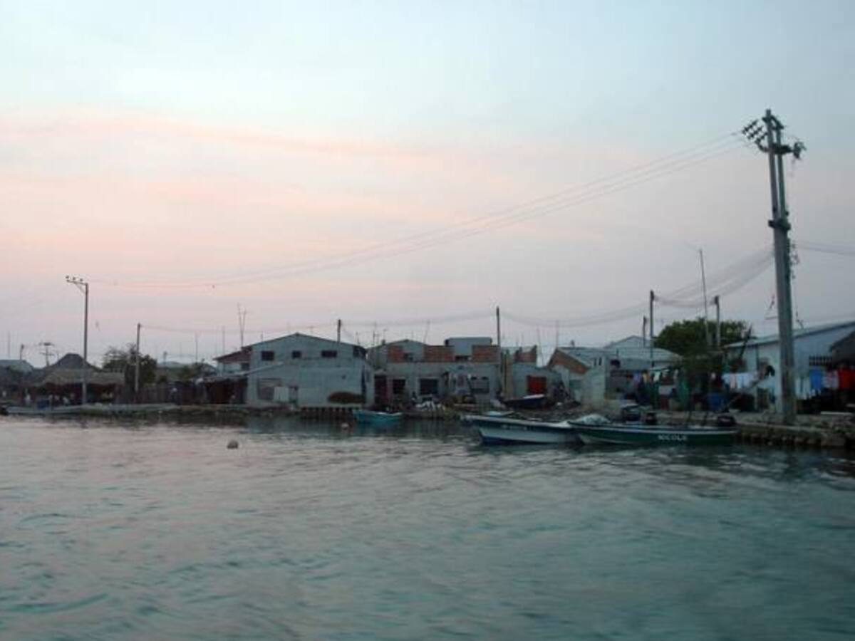 Procuraduría pide medidas ante presunto maltrato a especies marinas en isla de Cartagena