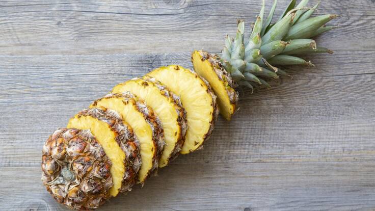 LifePack: el emprendimiento de platos germinables