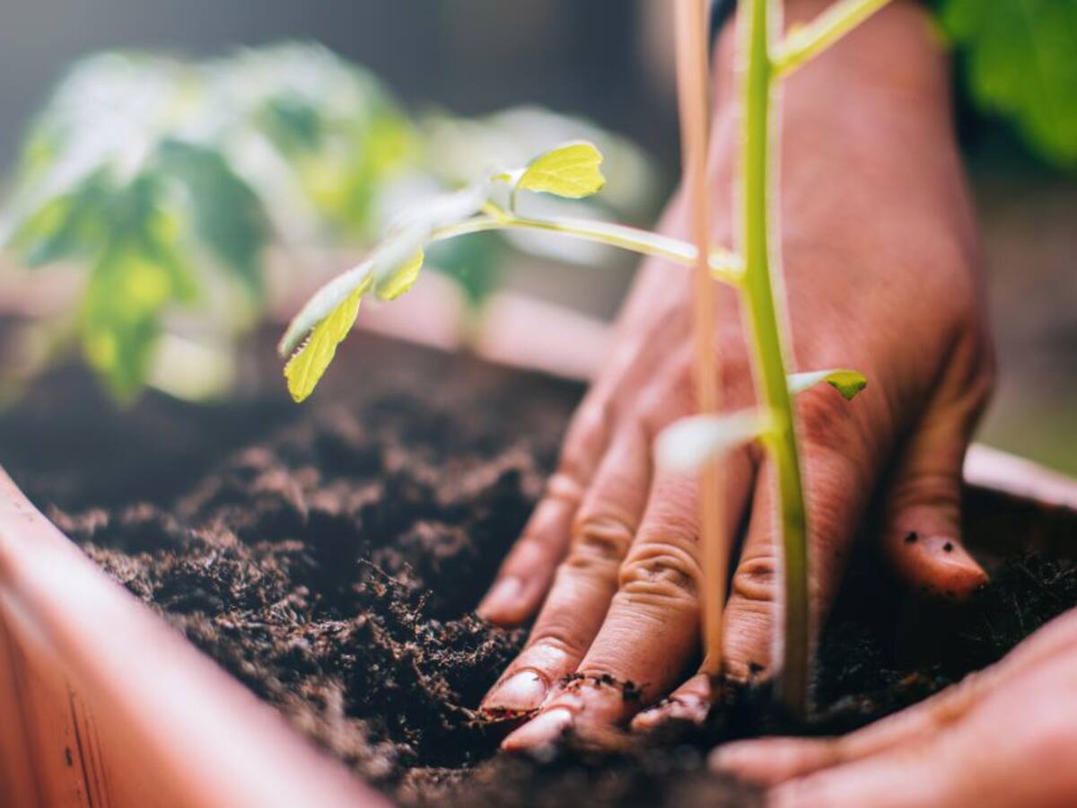 Ser parte de la biodiversidad