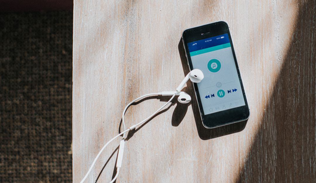 Imagen de referencia