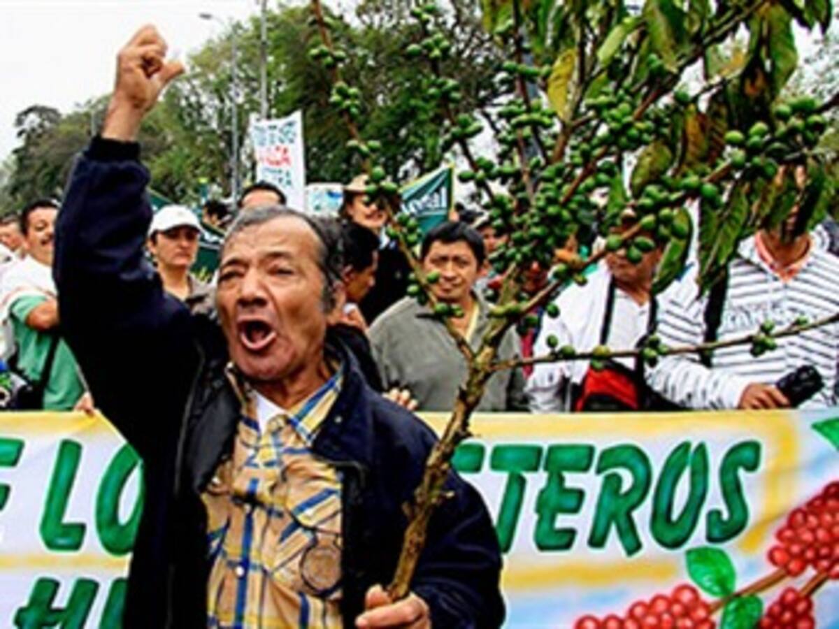 $1 billón en pérdidas deja el paro cafetero, cacaotero, de trasportadores y de docentes