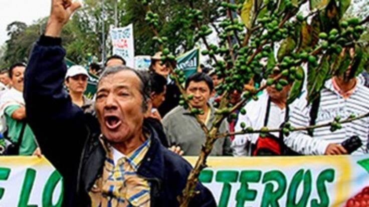 $1 billón en pérdidas deja el paro cafetero, cacaotero, de trasportadores y de docentes