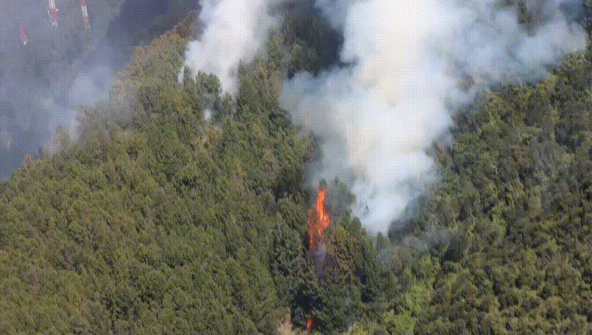 Incendio en cerro El Cable de Bogotá. Foto: Caracol Radio