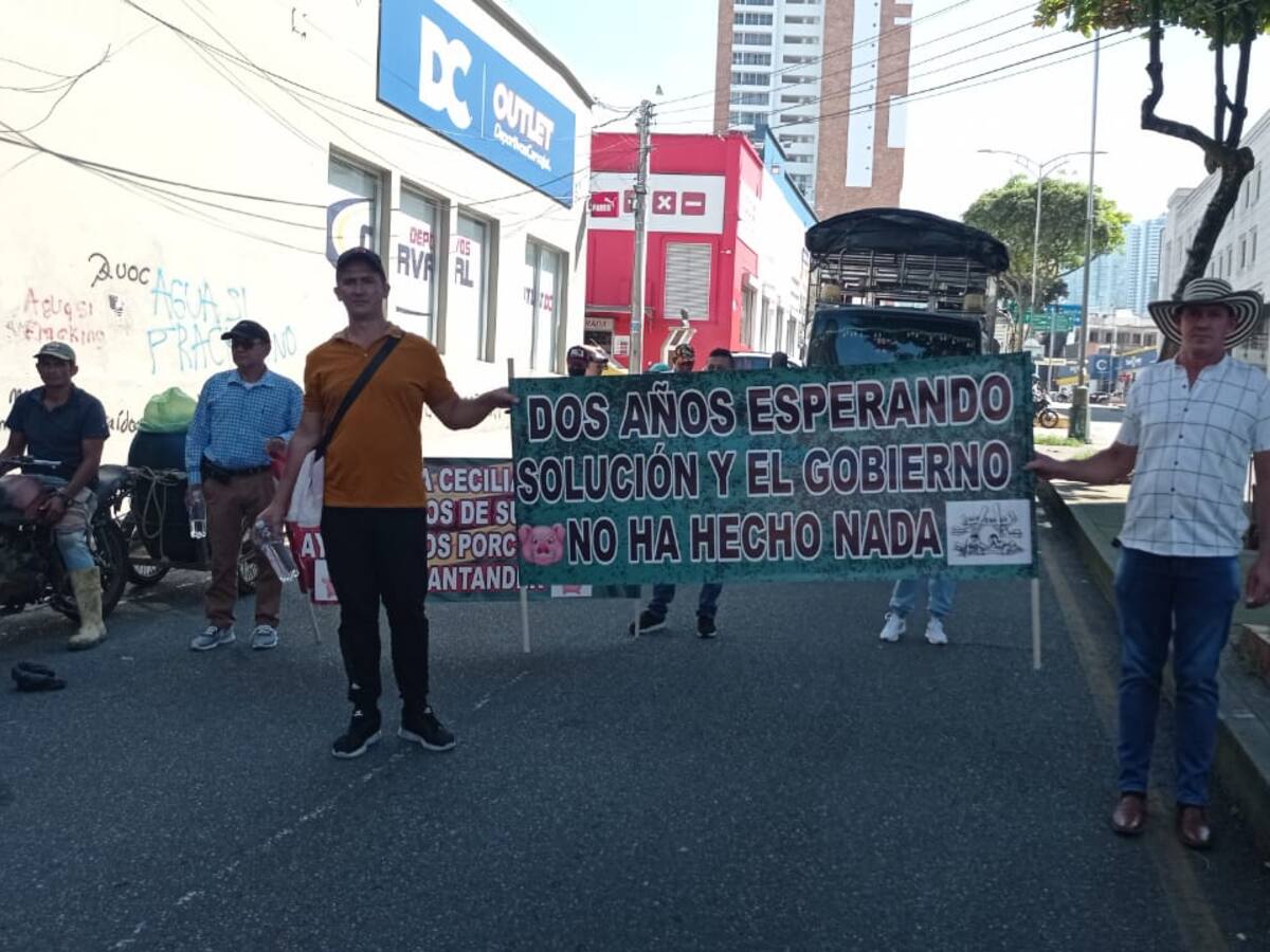 Porcicultores marchan pidiendo planta de beneficio en Santander