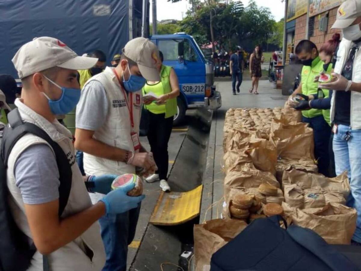 Más de 2.300 atados de panela fueron decomisados y destruidos en Pereira