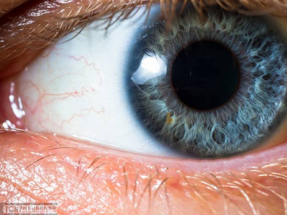 Movimiento ocular, una técnica para descubrir el origen de los traumas