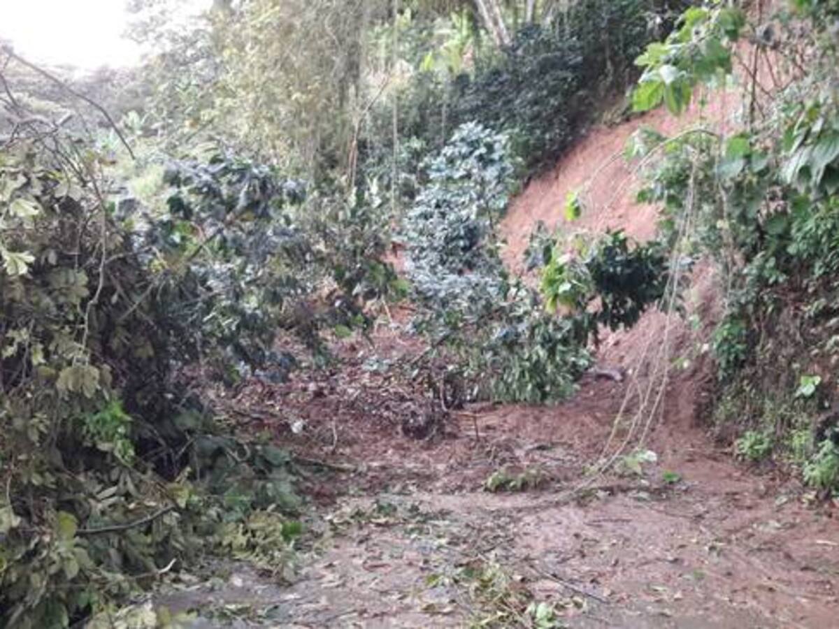 ¿Qué solicitud realiza el sindicato de educadores del Quindío por las lluvias?