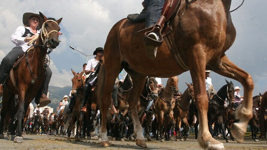 Foto: Cortesía referencia. 