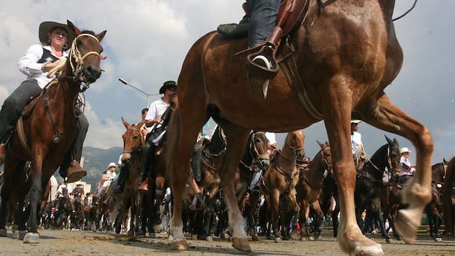En Montería, reviven las cabalgatas vía acuerdo municipal. Foto: Colprensa