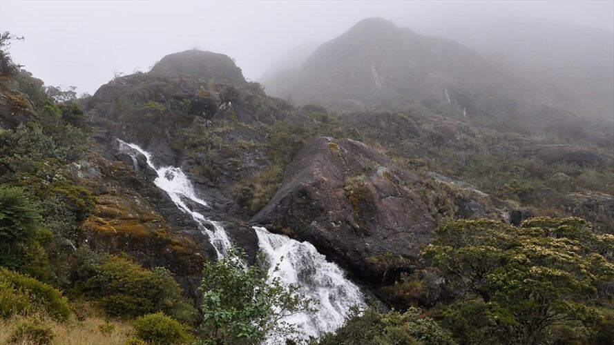 Estudiantes universitarios perdidos en Páramo de Santurbán se encuentran a salvo. Foto: Colprensa