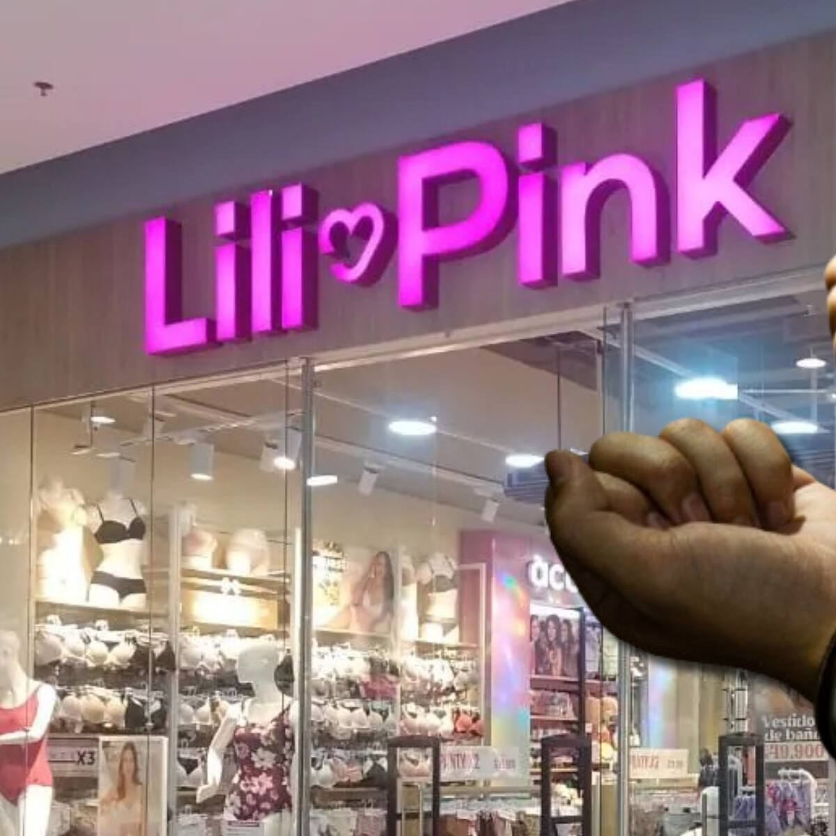 Caso Lili Pink: Así operaba presunta red delictiva transnacional que delinquía hace 13 años