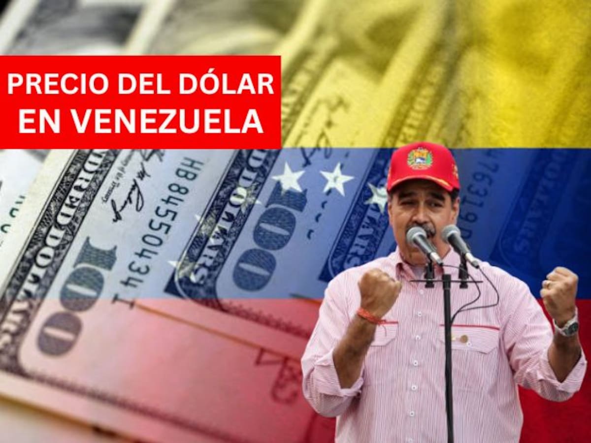 Precio del dólar en Venezuela HOY 2 de diciembre: se reporta un ligero incremento, según el BCV