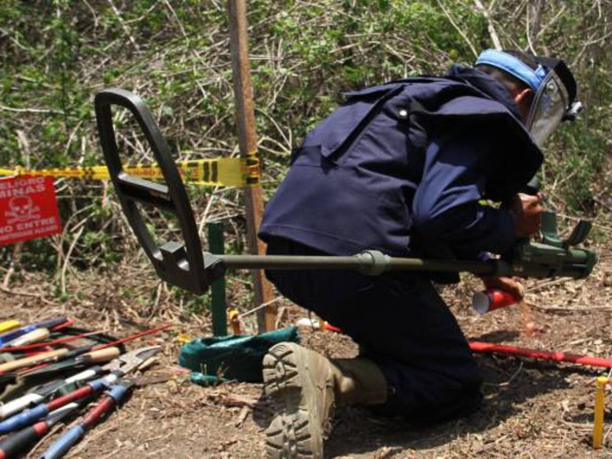 Inició segunda fase de desminado humanitario con Farc en Mesetas, Meta