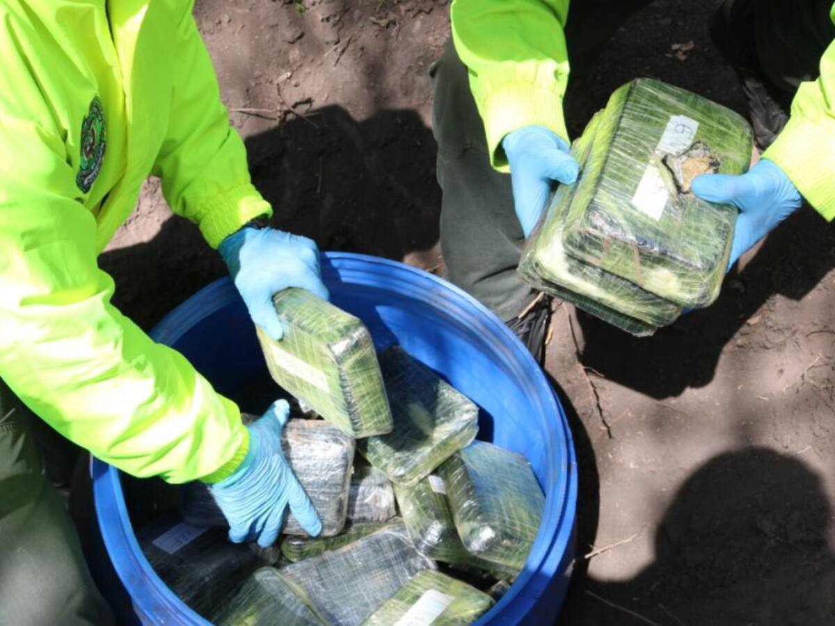 Incautan 95 kilos de coca camuflada en una finca de Ponedera, Atlántico