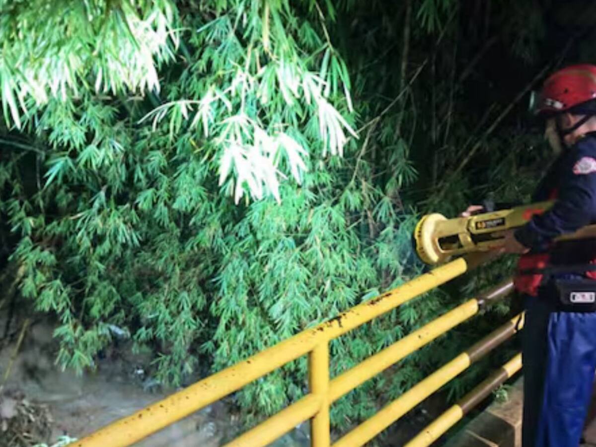 Hombre muere tras caer y ser arrastrado por la creciente de una quebrada en Floridablanca