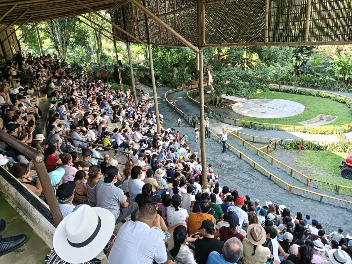 Altas expectativas en semana santa en el Quindío, esperan que ocupación hotelera alcance el 80%