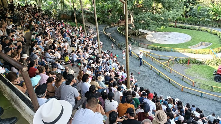 Secretaria de Turismo del Quindío, Juana Camila Gómez
