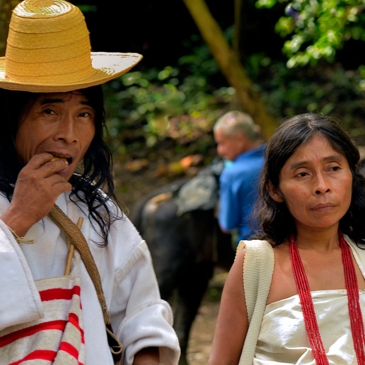 Estas son las 3 grandes familias indígenas de Colombia: ¿en dónde se encuentran ubicadas?